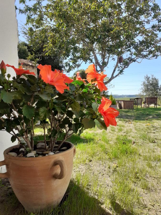***** Quinta Do Por Do Sol ***** Apartman Figueira da Foz Kültér fotó